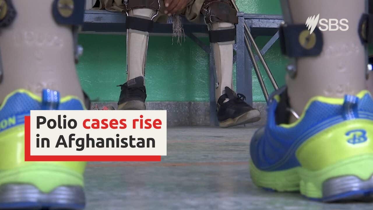 Insecurity, virus sees polio cases rise in Afghanistan