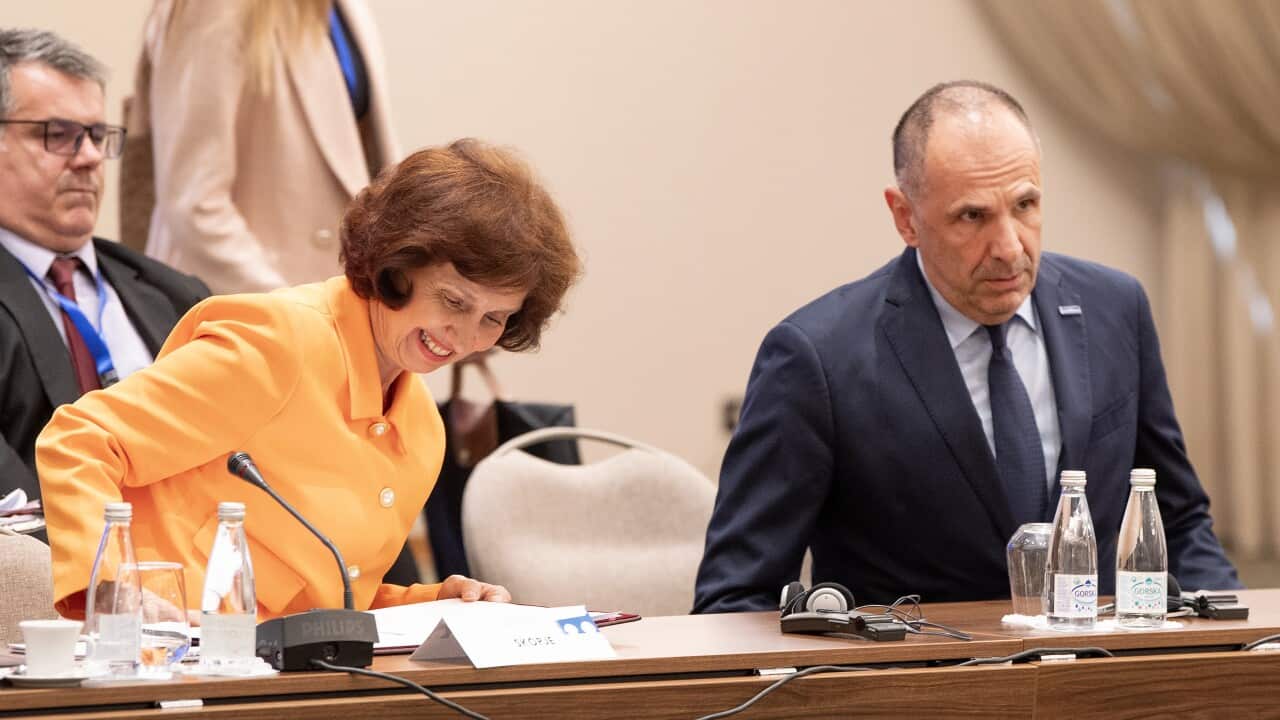 South-East European Cooperation Process Summit for heads of state and government in Skopje - Davkova, Gerapetritis