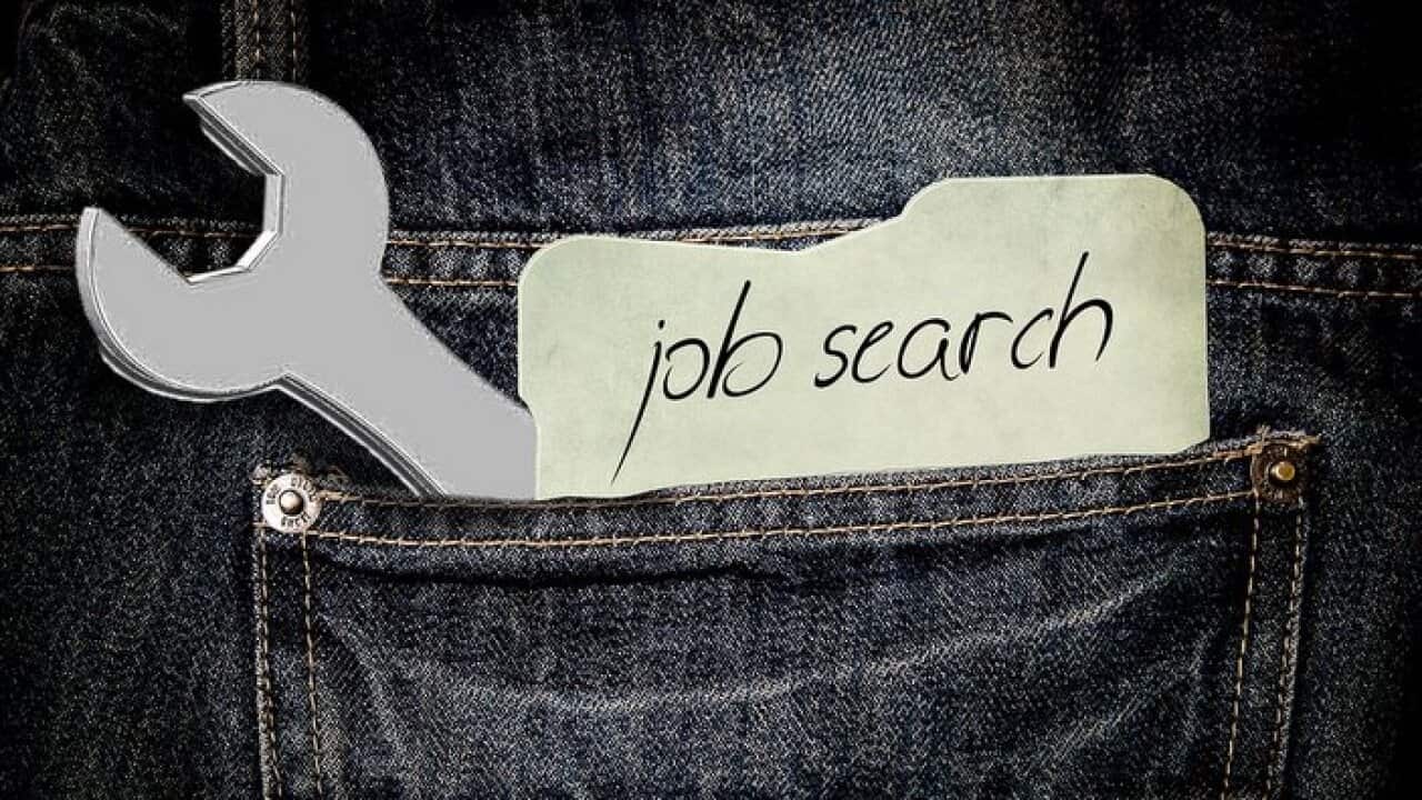 Job search
