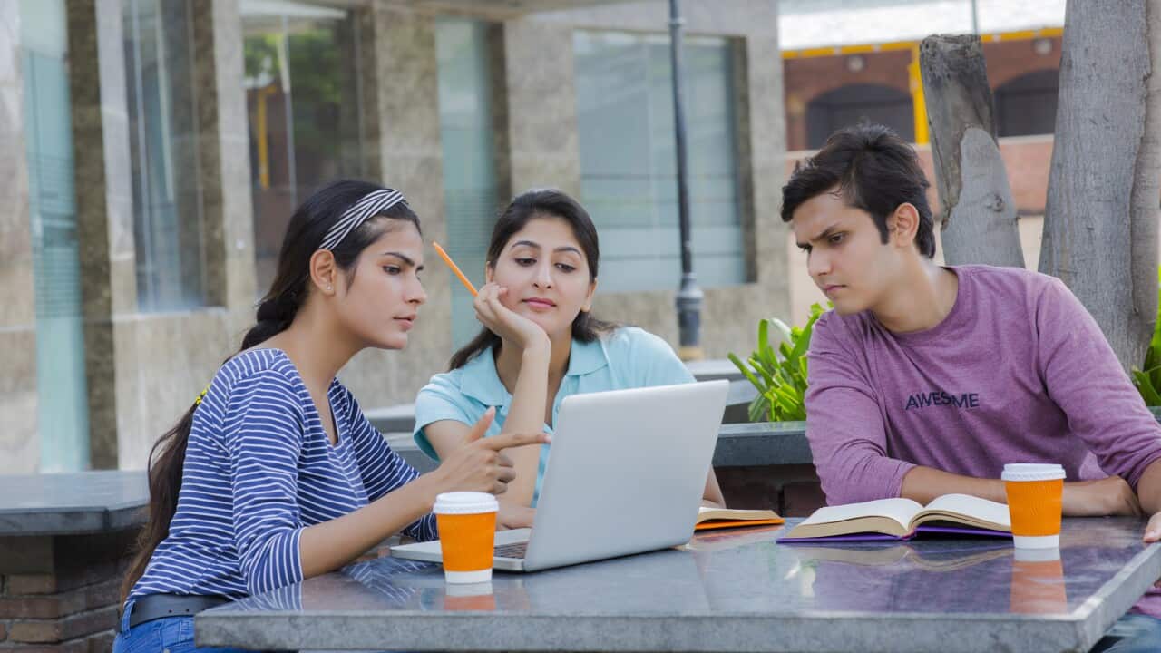teen girl studies with classmates at University stock photo
