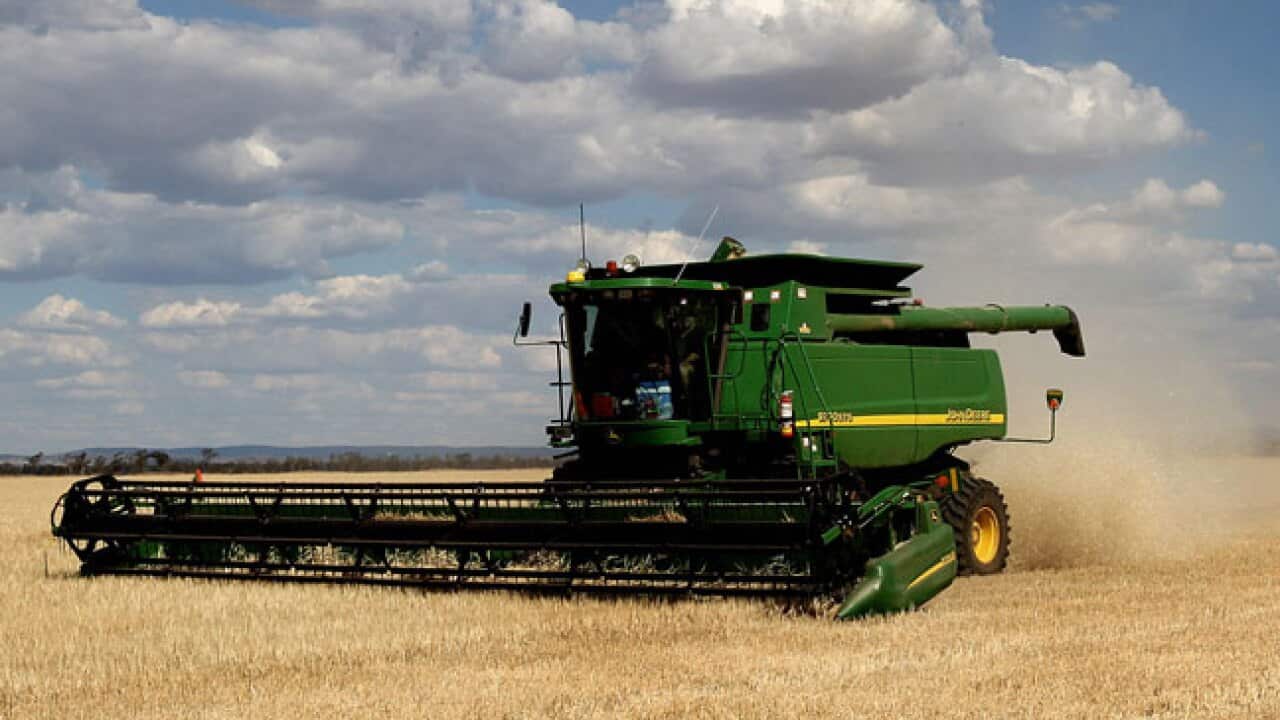 Aussie-crops_B_Getty_991324817