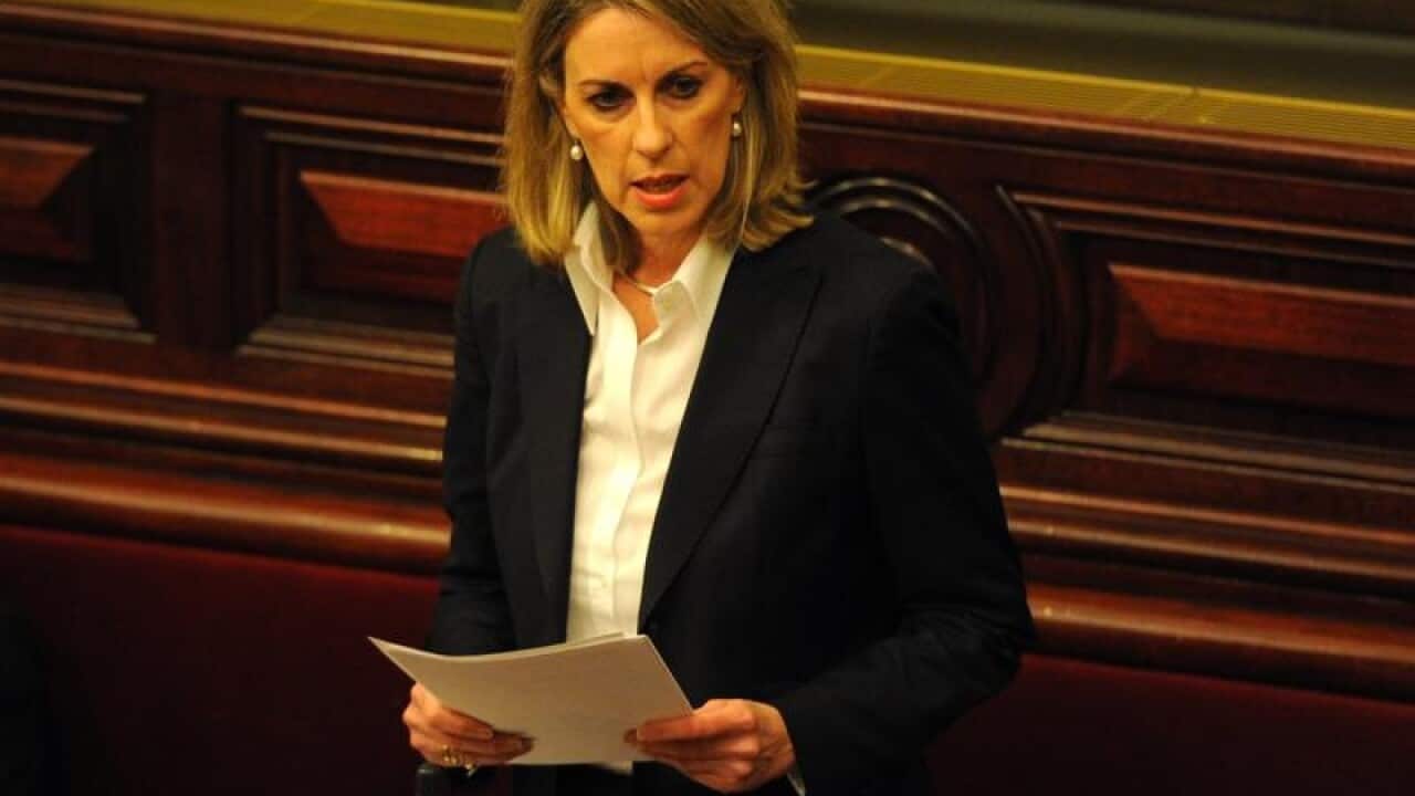 Liberal Upper House MP Georgie Crozier in parliament.