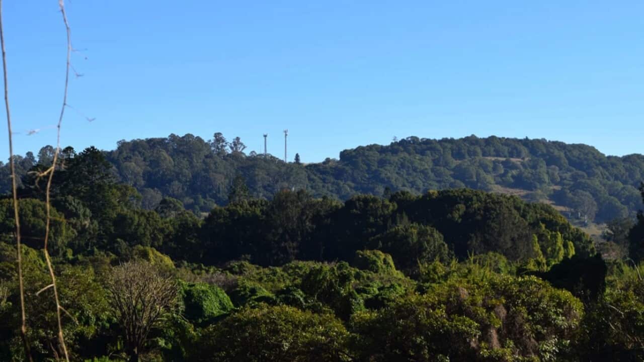 Image for read more article 'READ MORE'