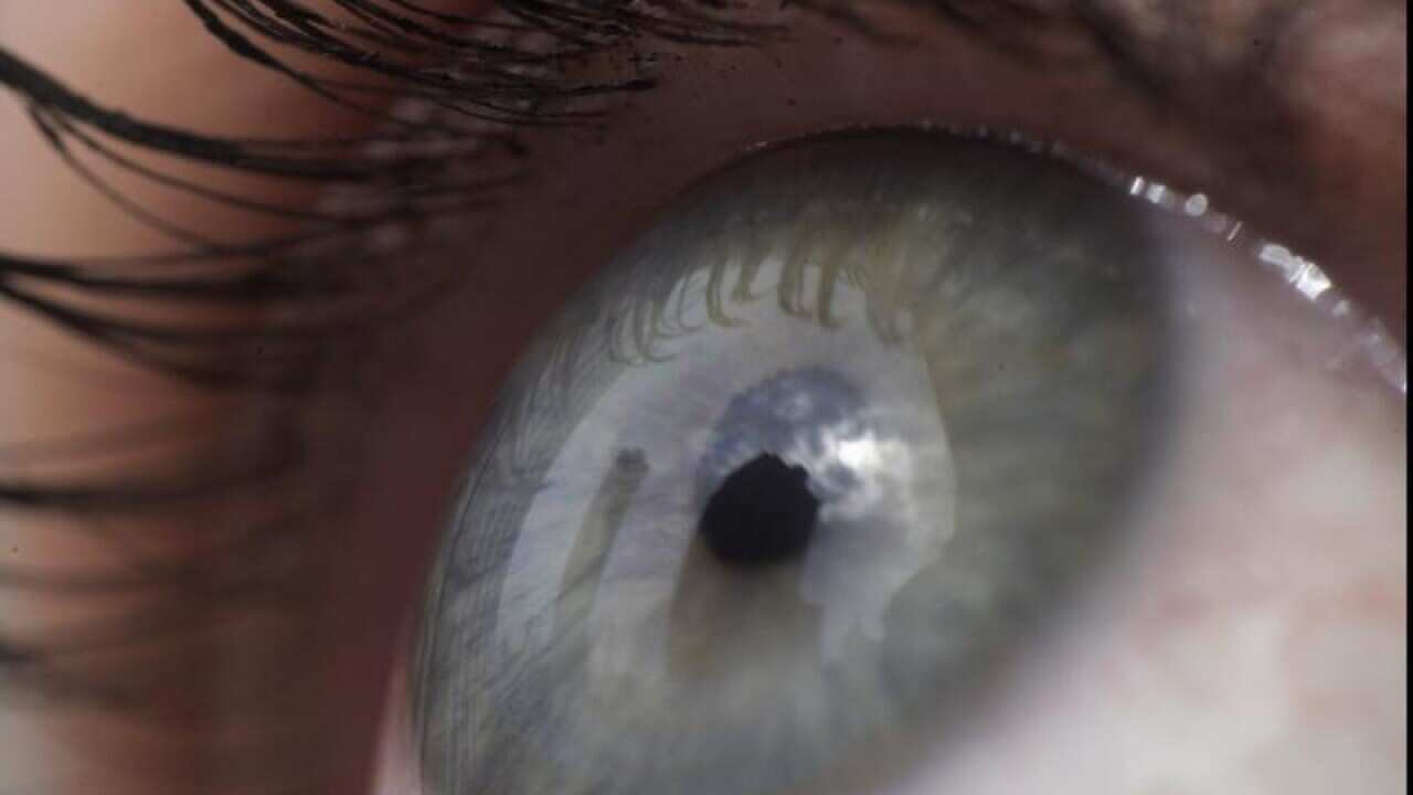 The eye