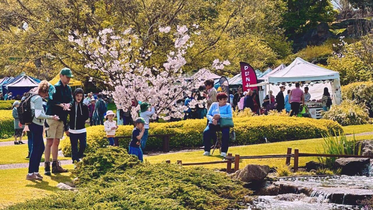 Image for read more article 'もっと聞く'