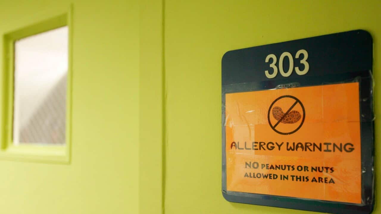 Peanuts and Nuts Banned at School