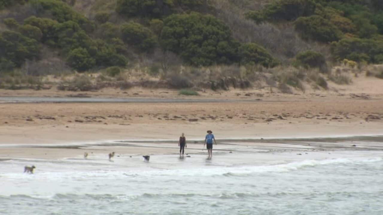 Torquay is part of the marginal Victorian federal electorate of Corangamite (SBS)