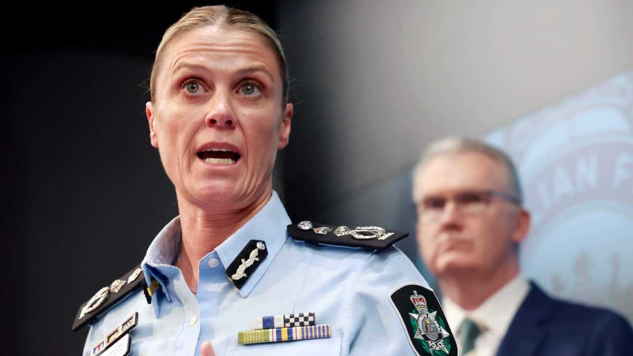AFP BONDI TERROR INVESTIGATION