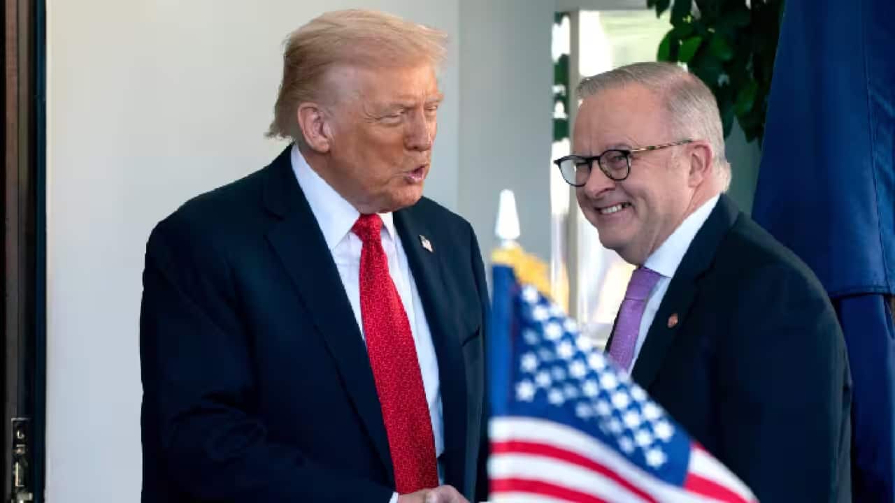 Trump Albanese.png