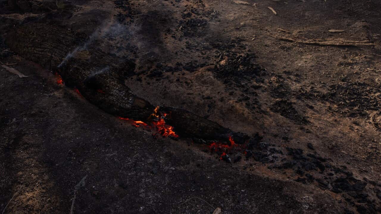 Image for read more article 'READ MORE'