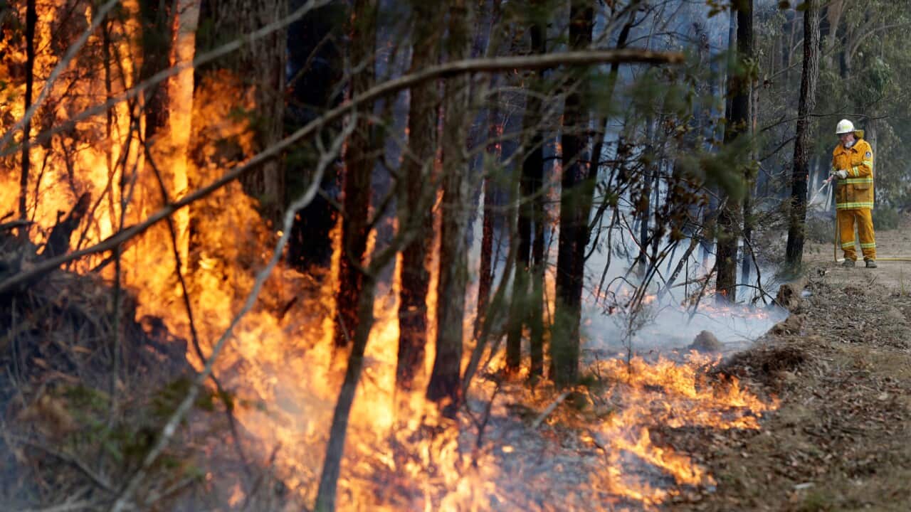 bushfires