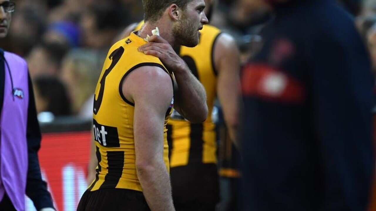 AFL HAWTHORN HAWKS DEMONS MITCHELL