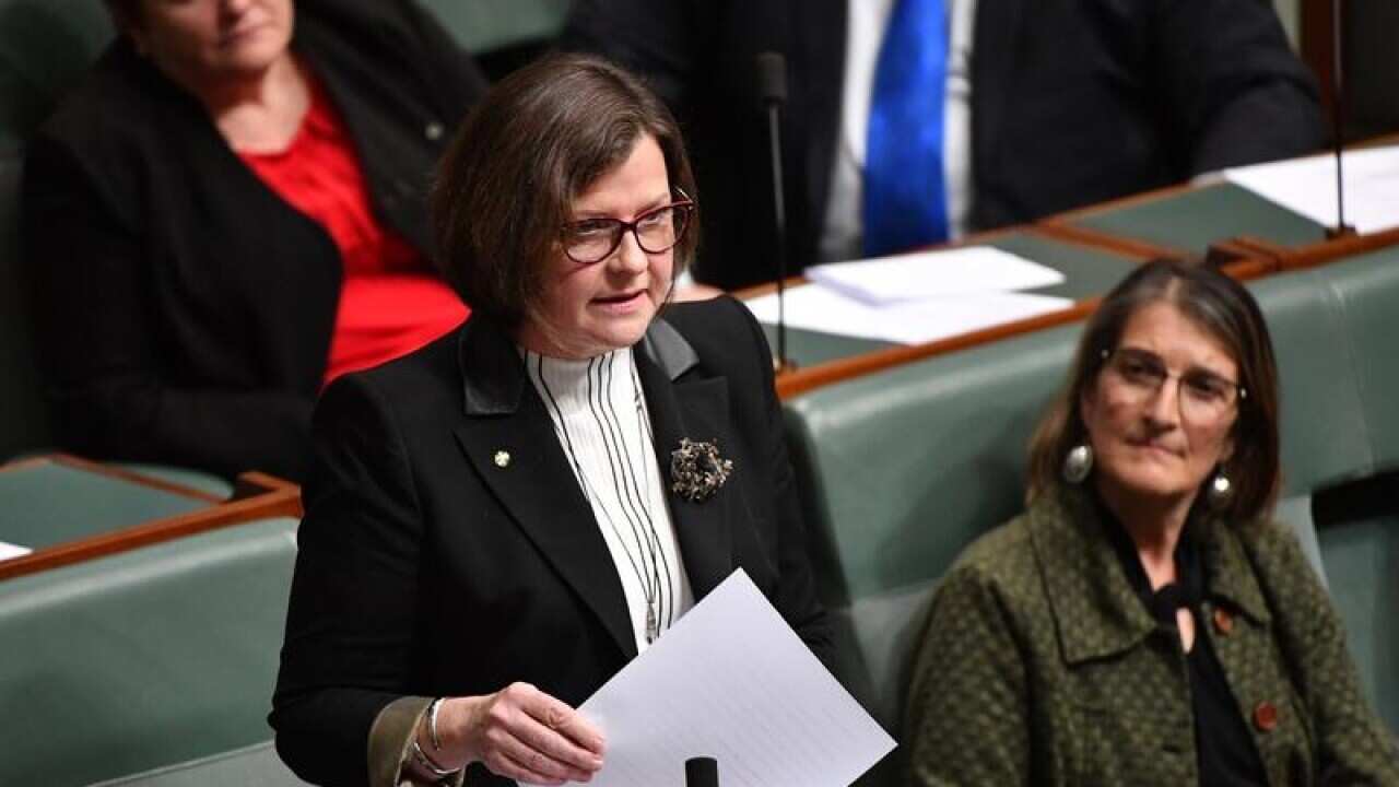 Labor member for Batman Ged Kearney makes her maiden speech.