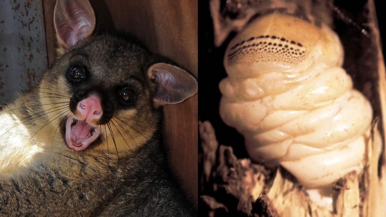 Image for read more article ''