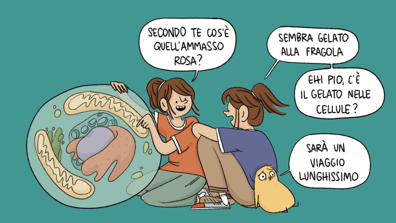 Flandoli Quarta_copertina_ITA.png