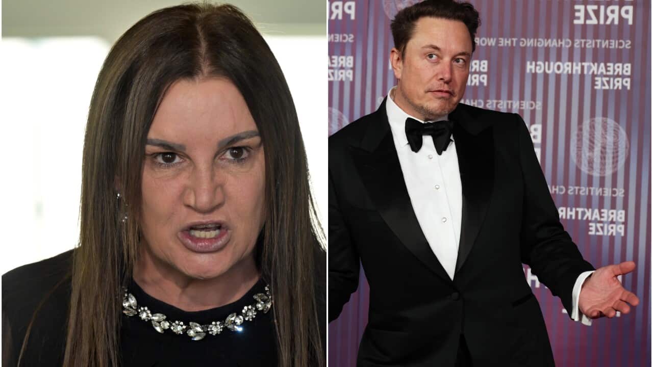 Jackie Lampie, Elon Musk