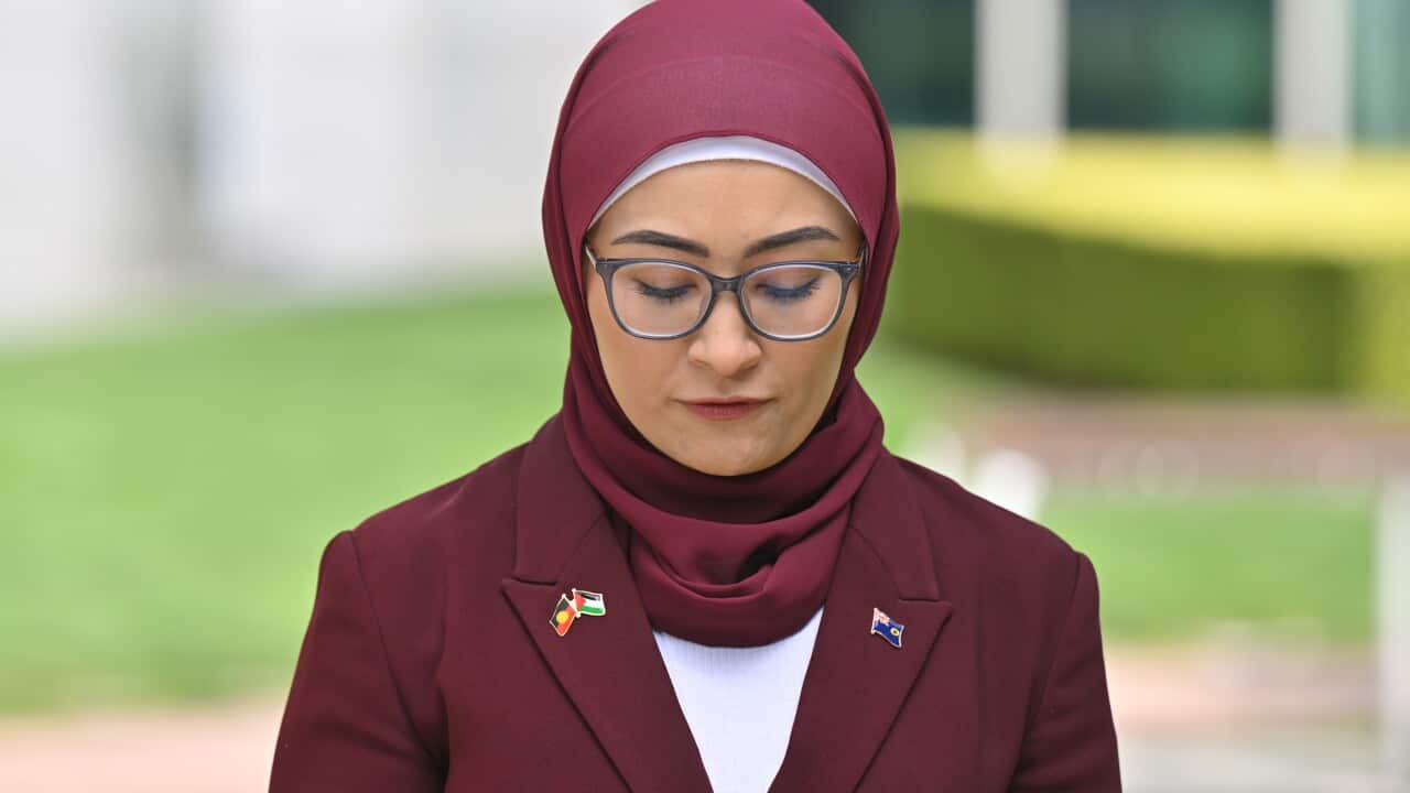 FATIMA PAYMAN PRESSER