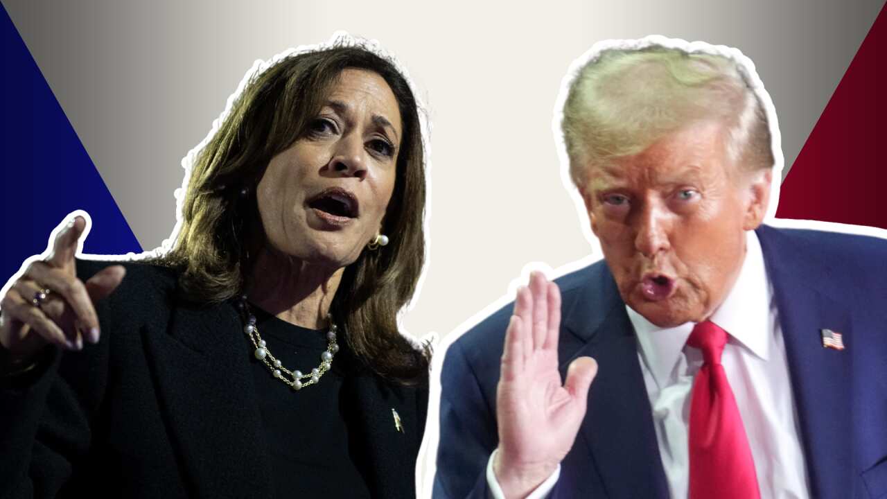 Image for read more article 'नेपालीमा पढ्नुहोस्'