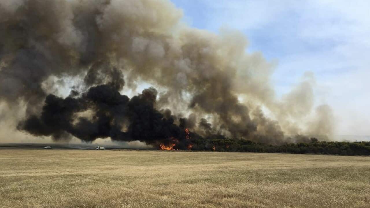 Image for read more article 'Related reading'