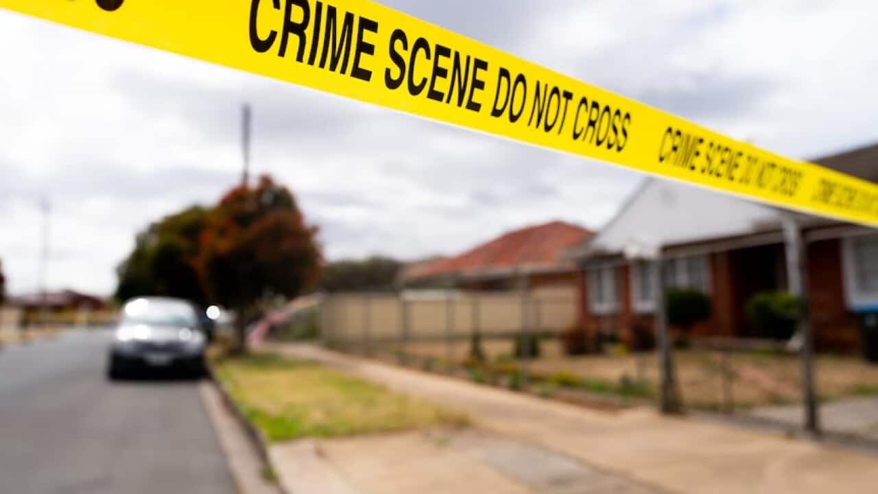 Ανταπόκριση 08-11-24.jpg