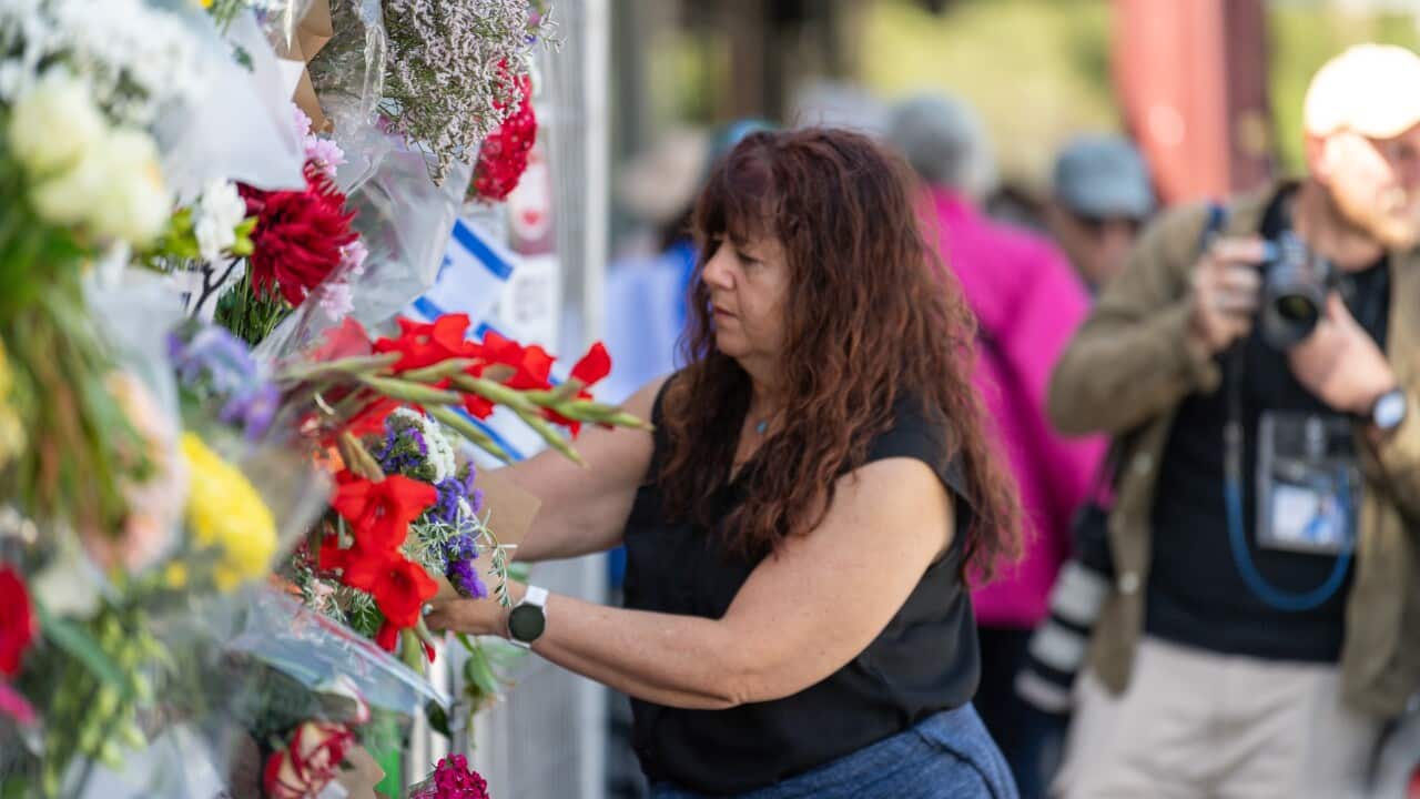 Image for read more article ''