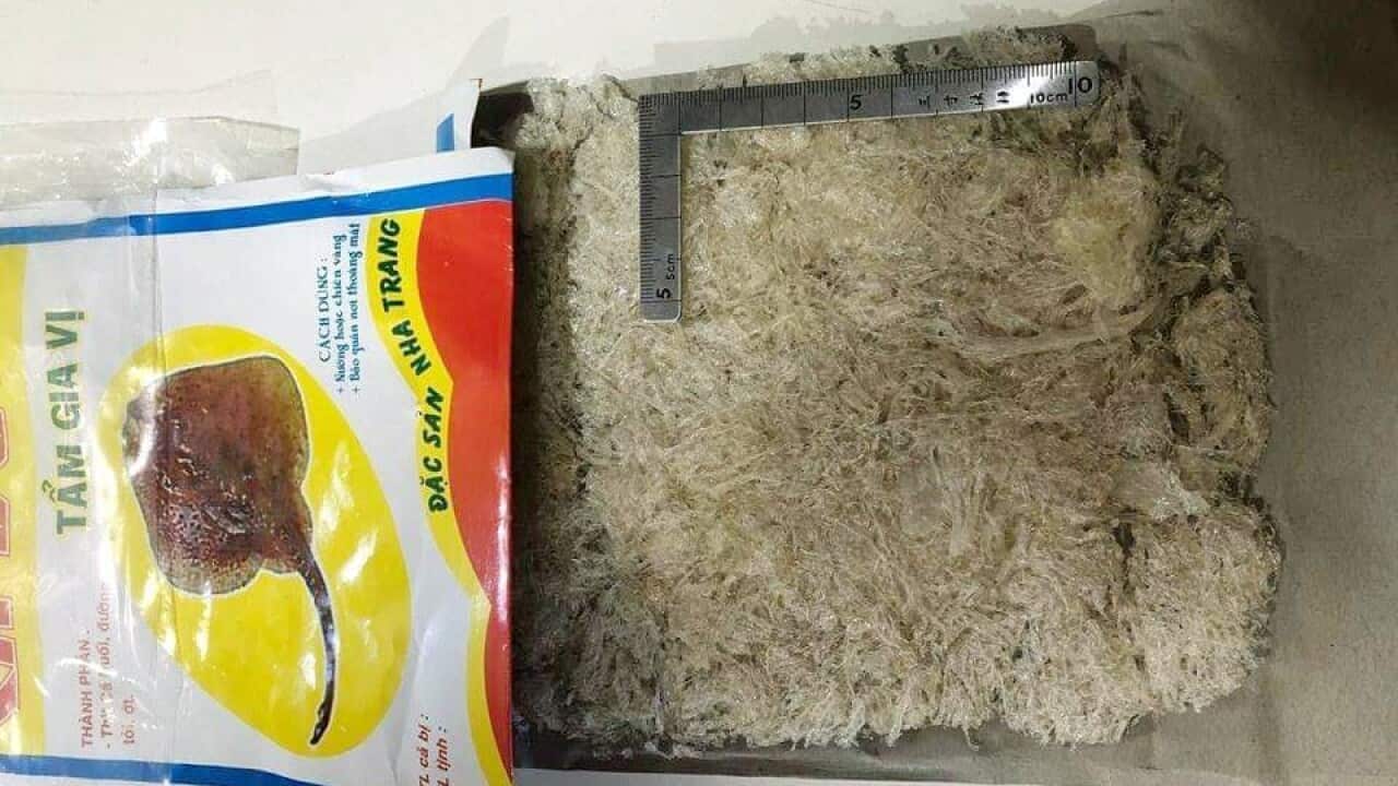 edible bird’s nest