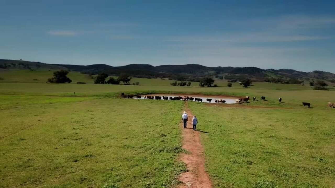 Angus and Leslie Tink on their farm near Mudgee