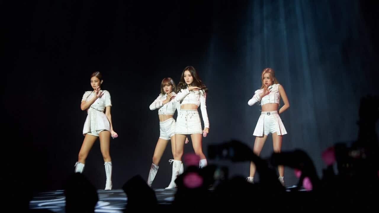 blackpink sydney qudos arena 2019