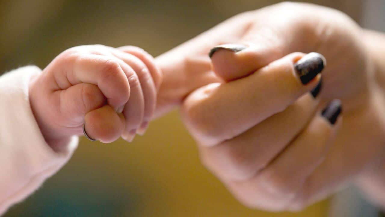 File photo of a baby holding the finger of its mother.