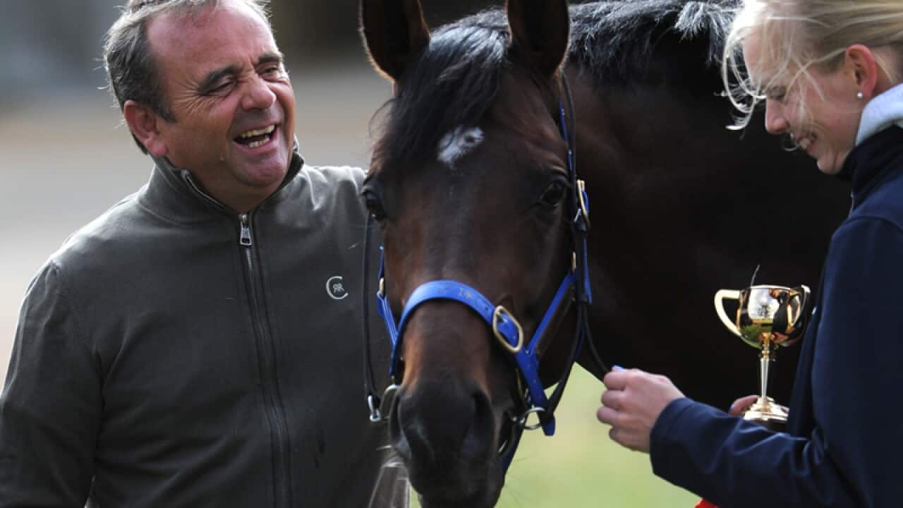 German trainer Andreas Wohler pats Protectionist