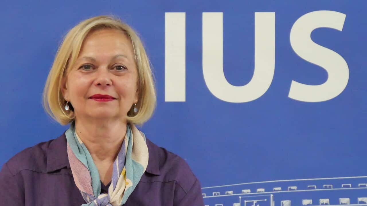 prof. Vesna Suljić, Internacionalni univezitet Sarajevo (2).jpg