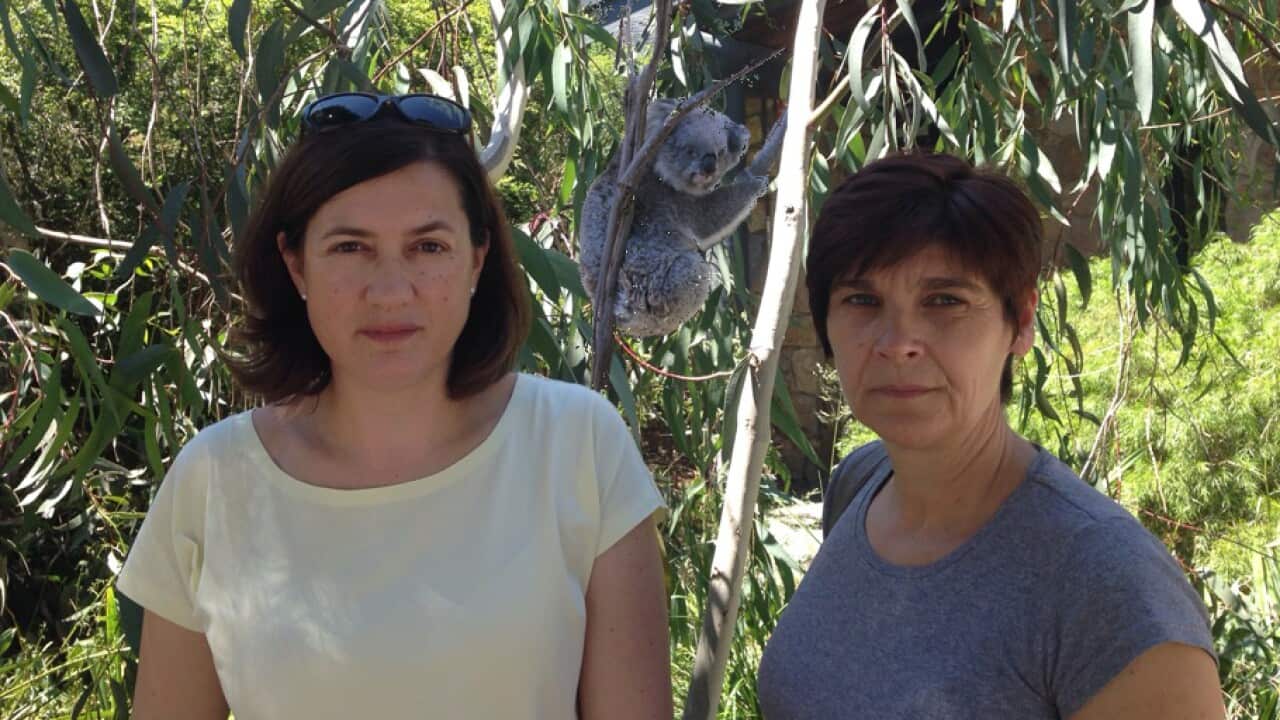 Andreja Klasinc Škofljanec and Danijela Juričič Čargo