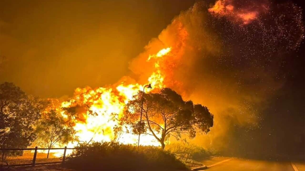 BUSHFIRES PERTH