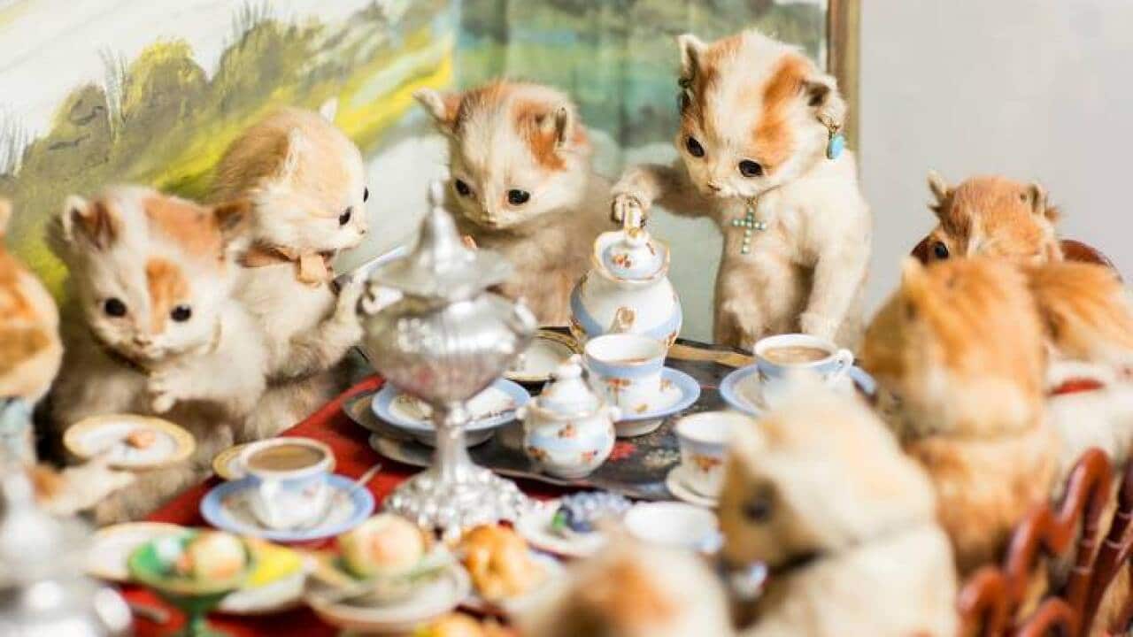 Kittens' Tea and Croquet Party, c. 1890, Walter Potter