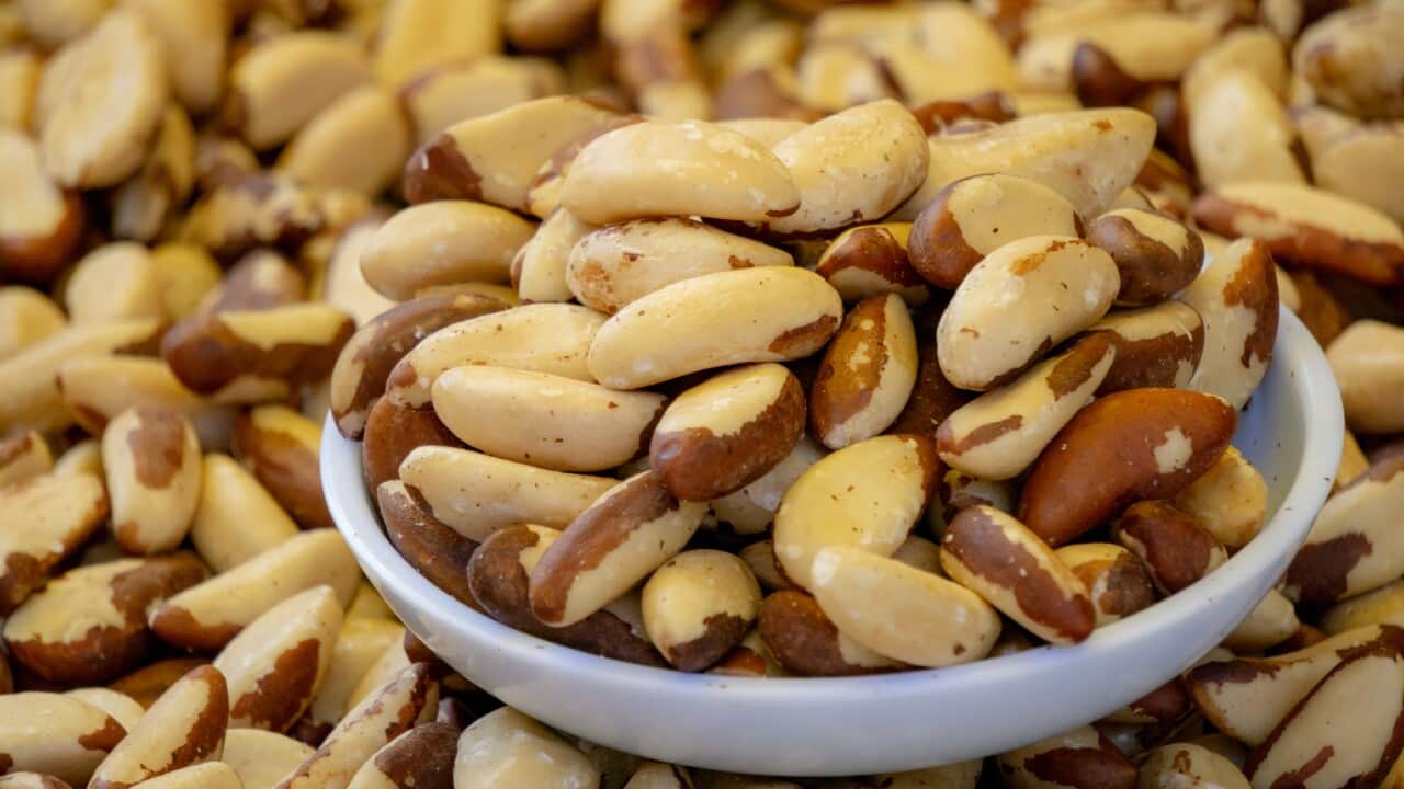 The best nuts to help you sleep SBS Food