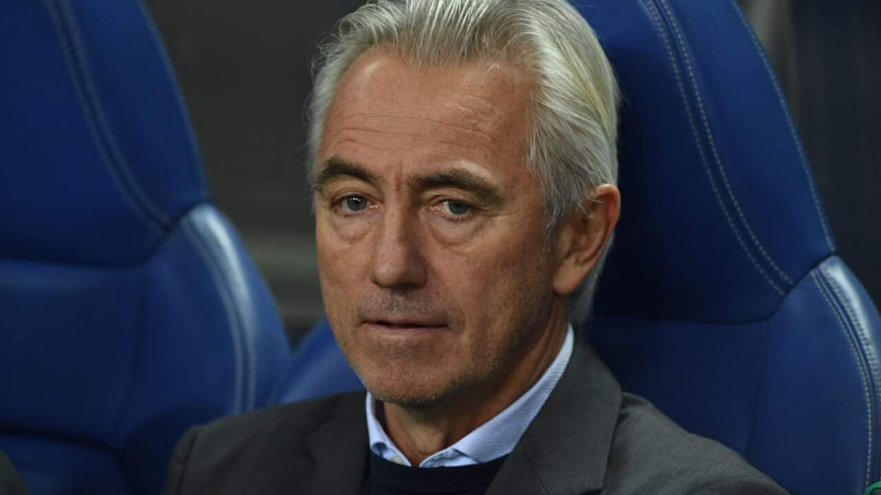 Bert van Marwijk