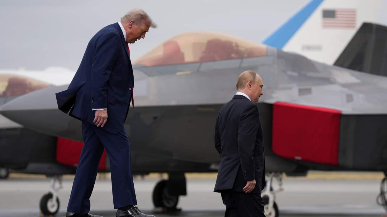 No plans for Trump and Putin to meet in ‘immediate future’, White House says No plans for Trump and Putin to meet in ‘immediate future’, White House says