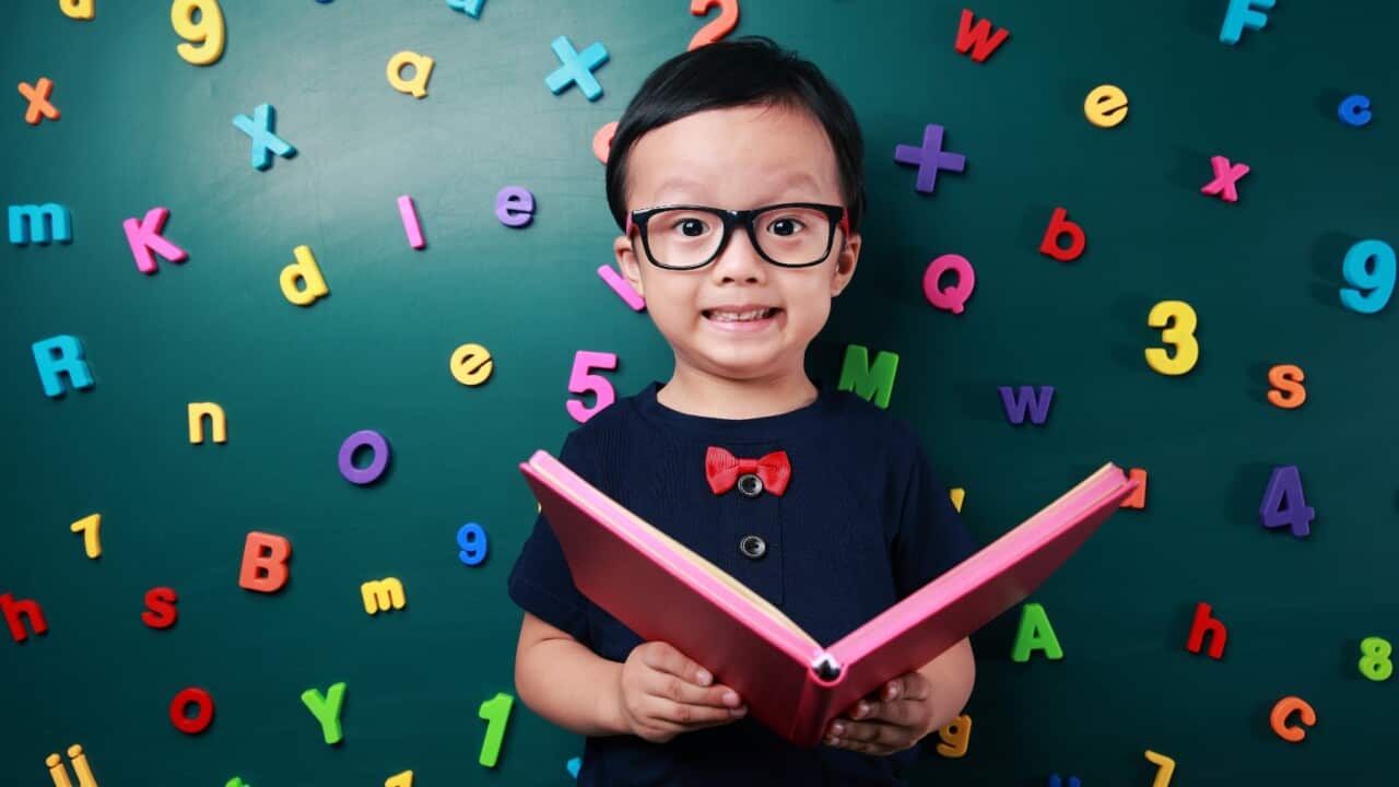 Australian education system is split into four different stages.These include pre-school, primary, high school and tertiary education.