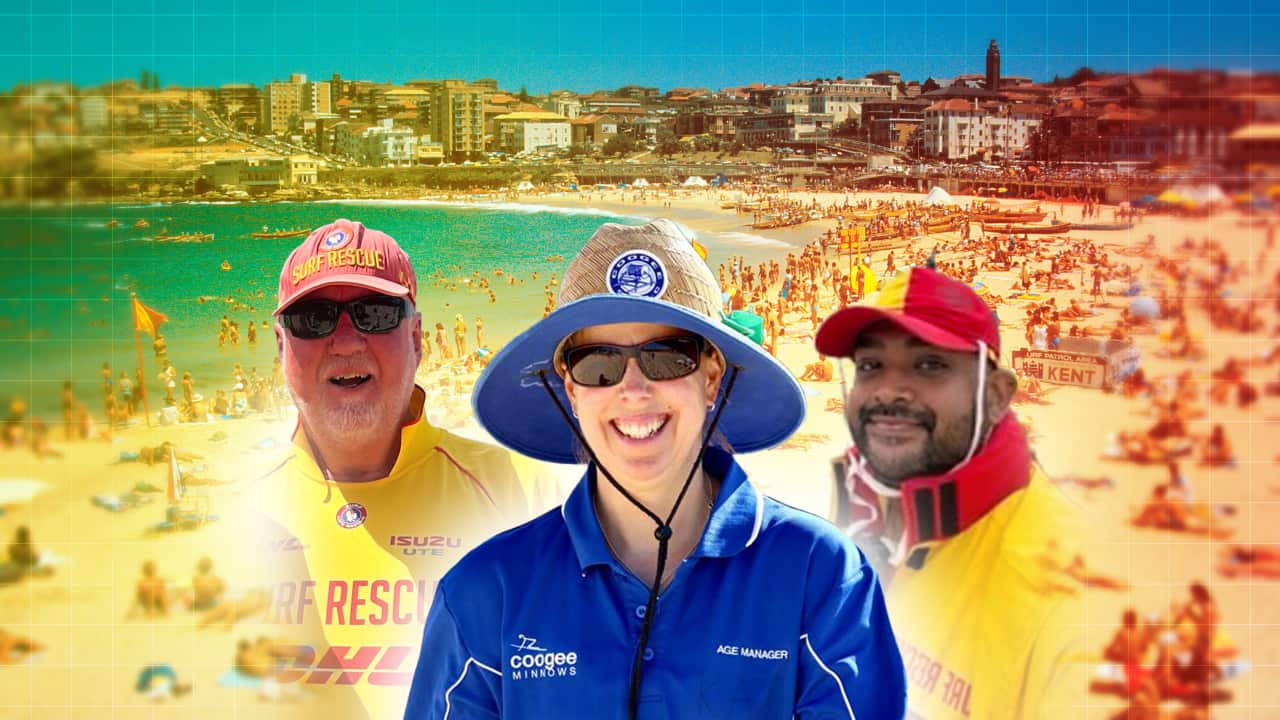 280126 MULTICULTURAL BEACHES HEADER.png