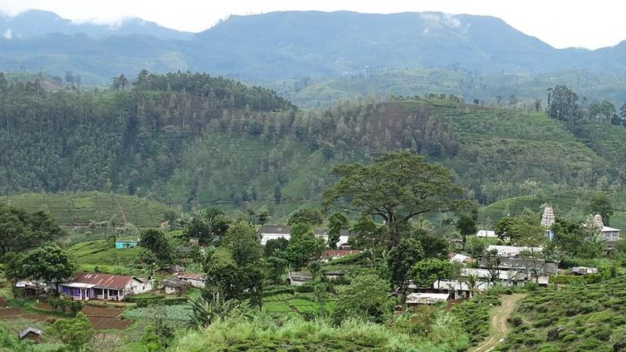 Image for read more article 'READ MORE'