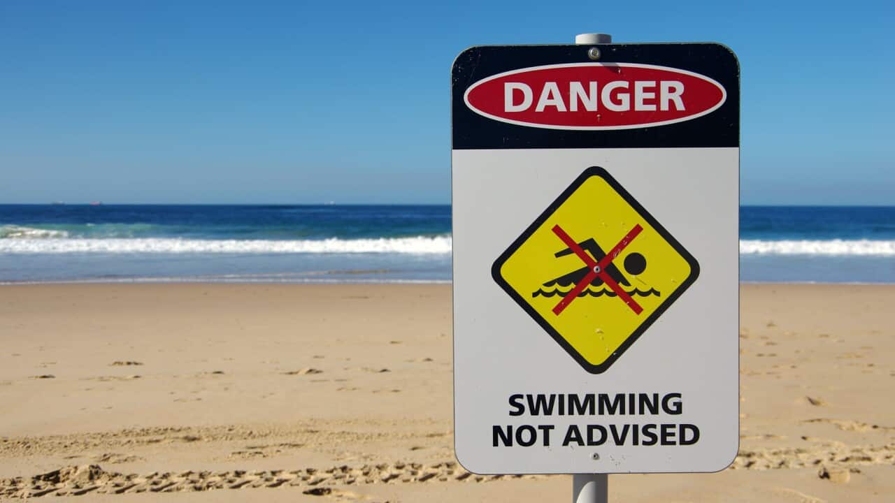 'Danger: swimming not advised' sign on North Wollongong Beach
