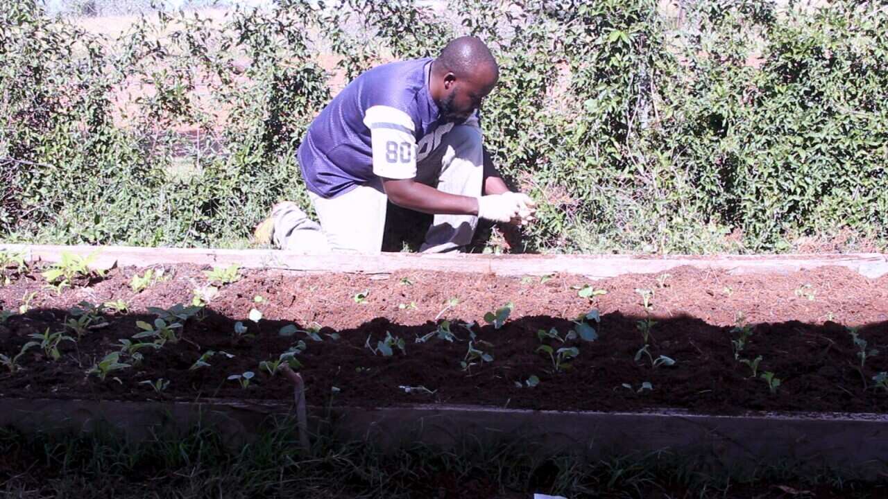 Reverien Nahishakiye ari mu murima wiwe muri Mingoola
