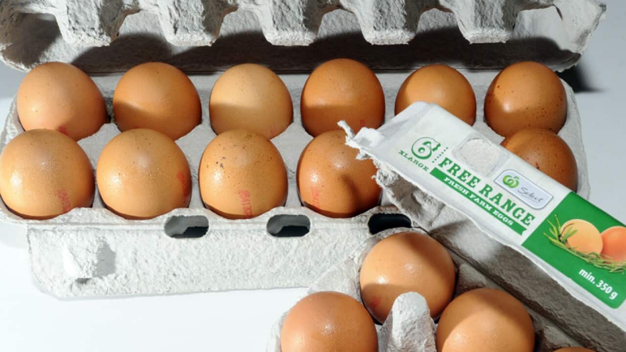 Image for read more article 'Related'