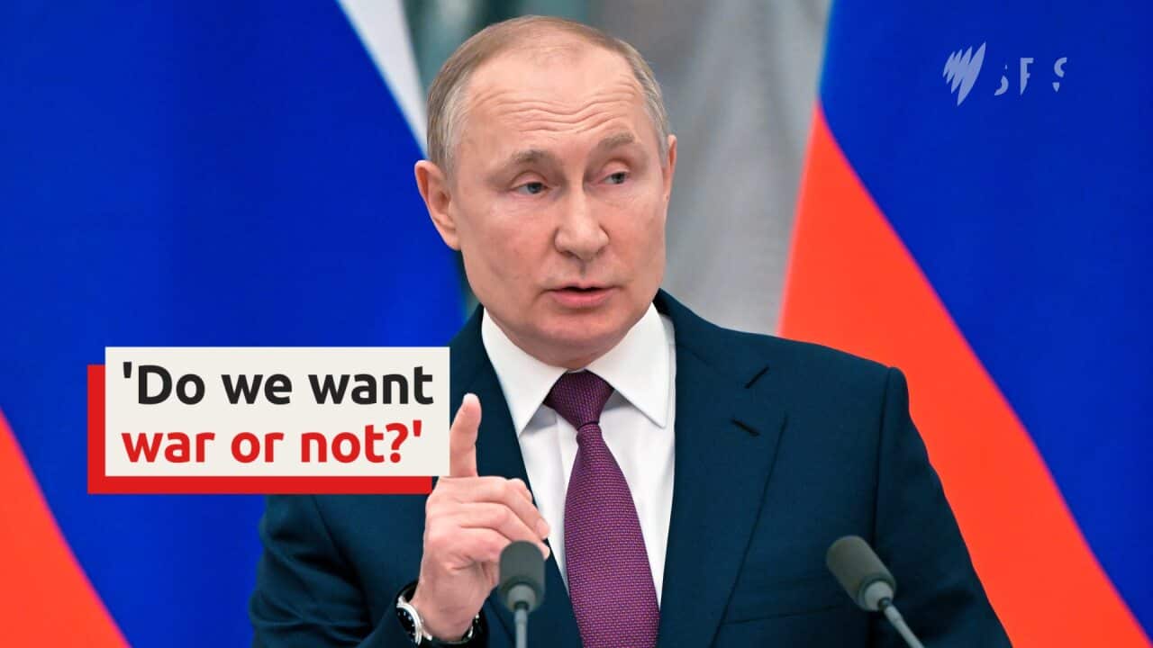 Russia does not want war, says Putin