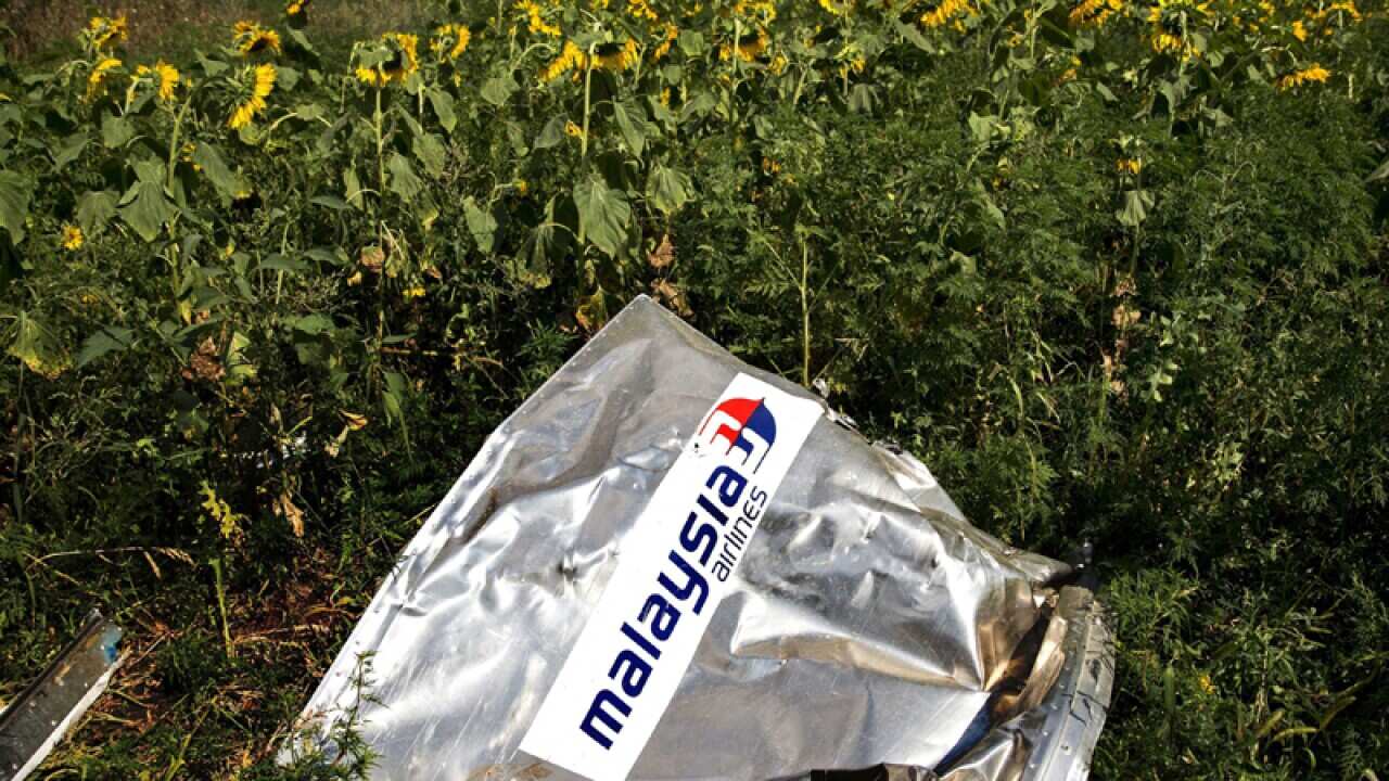 Debris of the Boeing 777 at the MH17 crashsite