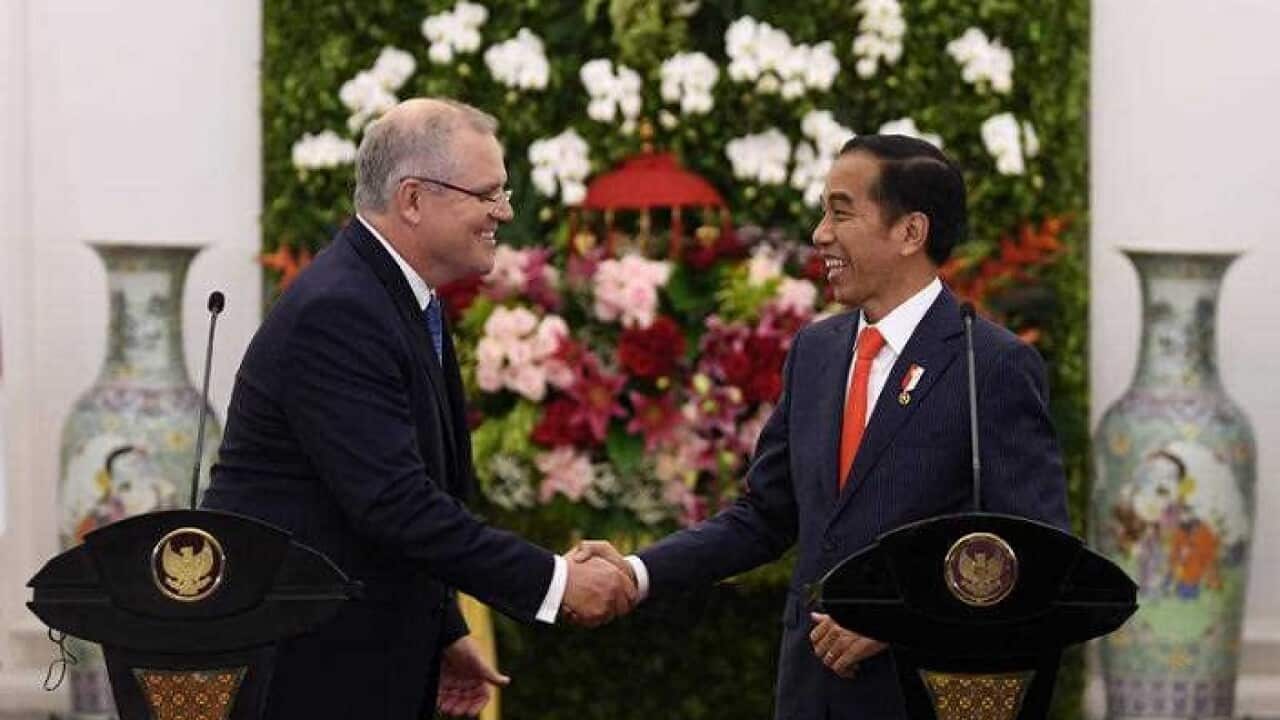 Australian Prime Minister Scott Morrison and Indonesian President Joko Widodo shake hands at Bogor Presidential Palace near Jakarta (AAP)