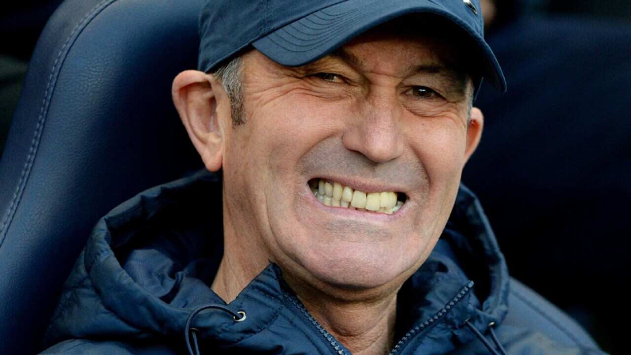 Crystal Palace manager Tony Pulis