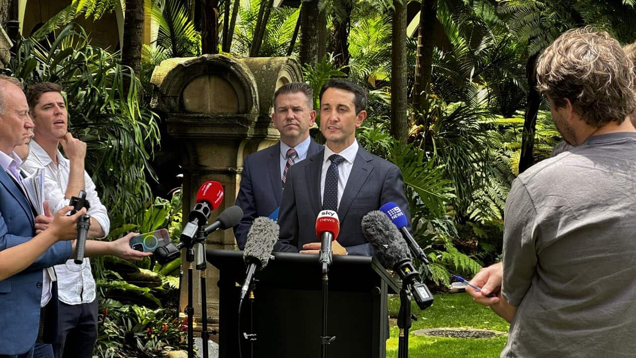 David Crisafulli to become new Premier of Queensland after state election victory (Supplied SBS).jpg