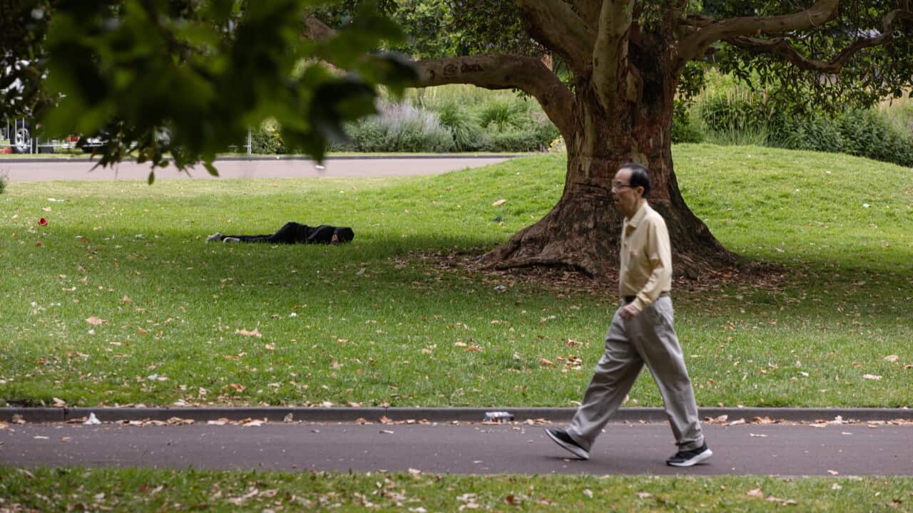 MELBOURNE DAILY LIFE