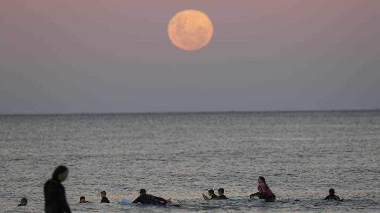 Image for read more article 'READ MORE'